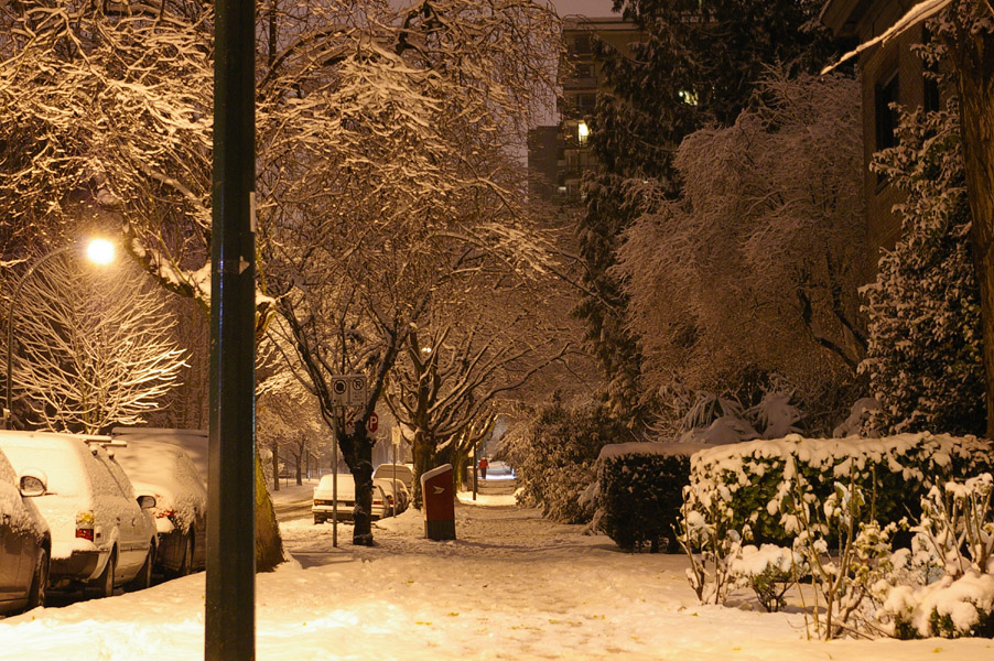 IMGP5369.jpg